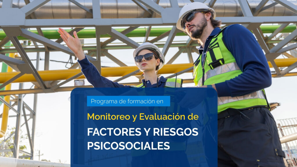 Programa de formación en Monitoreo y Evaluación de Factores y Riesgos Psicosociales